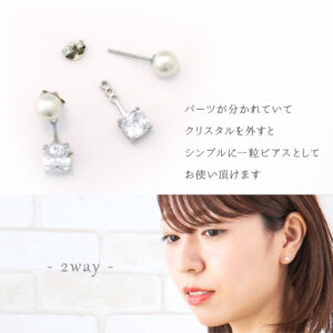 ps100008