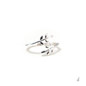ring001