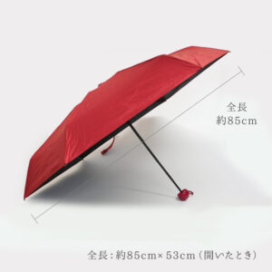 umbrella01
